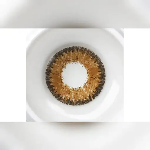 لنز رنگی عسلی سولکو تویینز اسپایس - Image 2