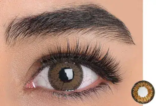 لنز رنگی عسلی سولکو تویینز اسپایس - Image 3