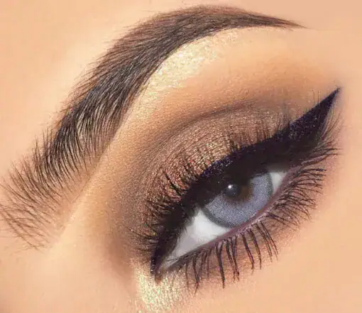 لنز رنگی طوسی دسیو ربل گری - Image 2