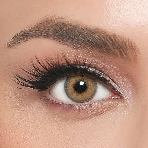 لنز رنگی عسلی الامور رترو کافی - Image 2