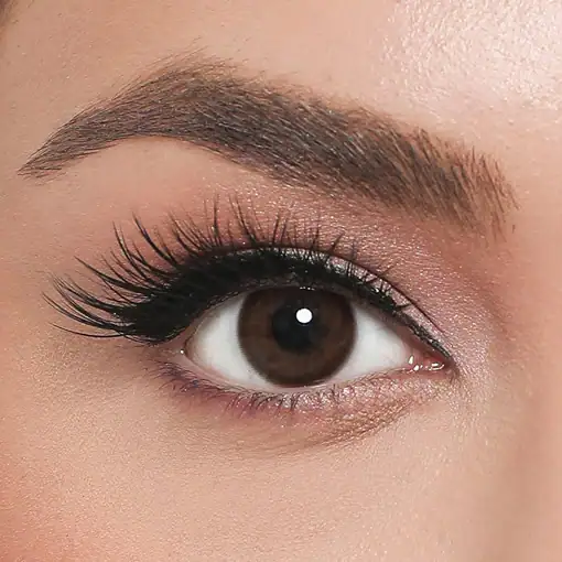 لنز رنگی قهوه ای الامور رترو دارک کافی - Image 2